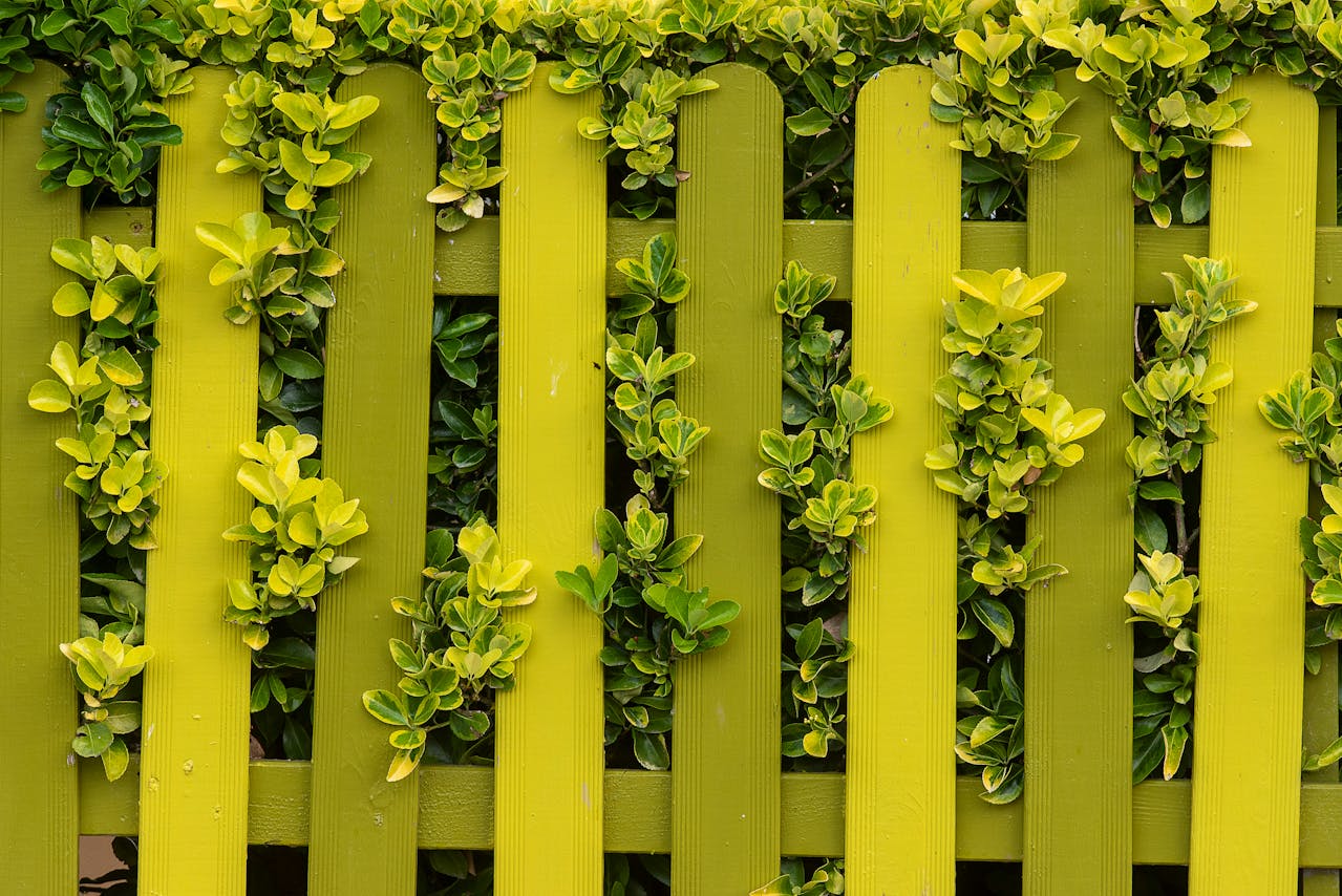 Guide pour sélectionner la clôture en bois idéale pour sublimer votre jardin