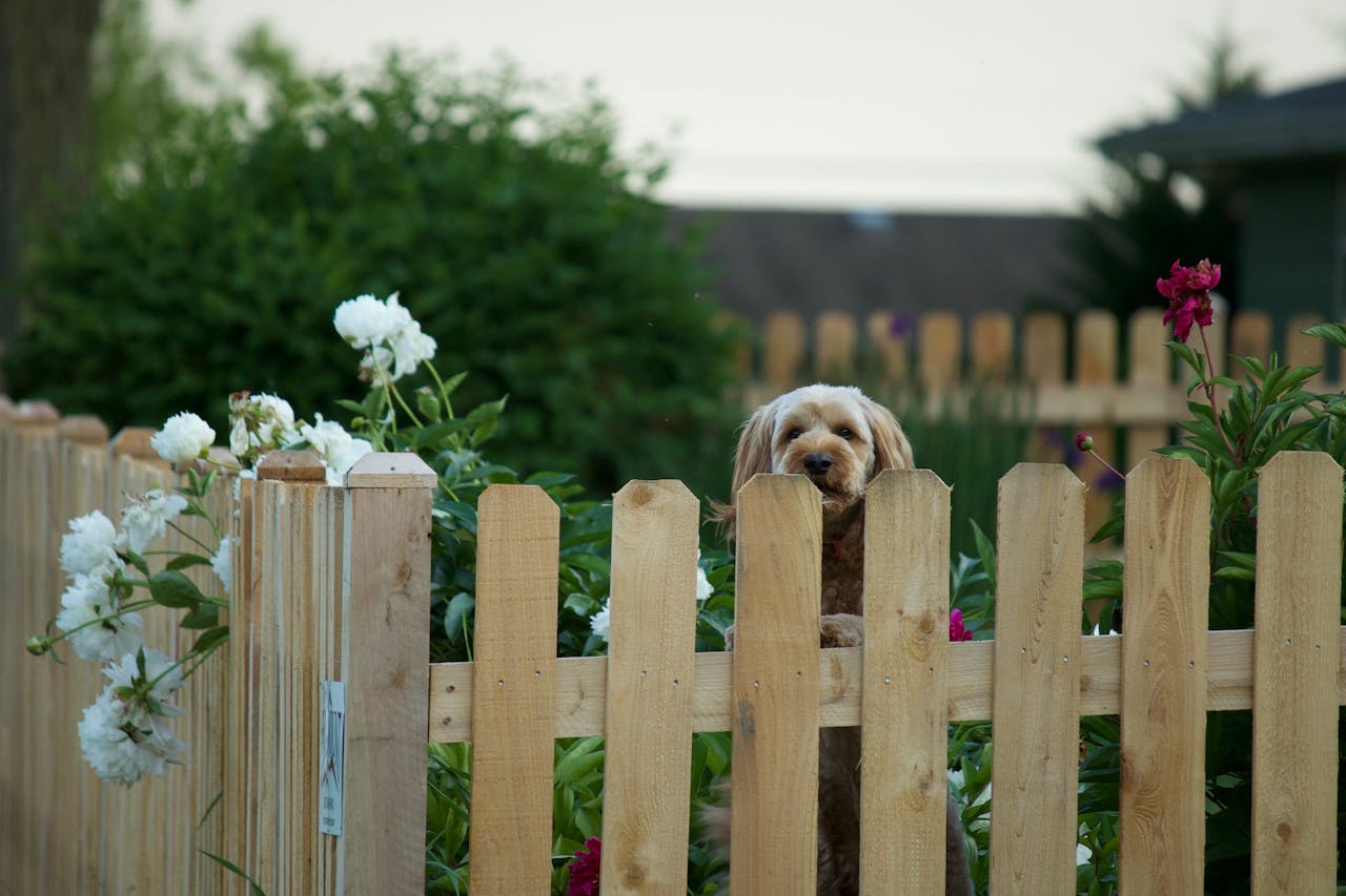 sélectionner la clôture en bois idéale pour sublimer votre jardin.jpg